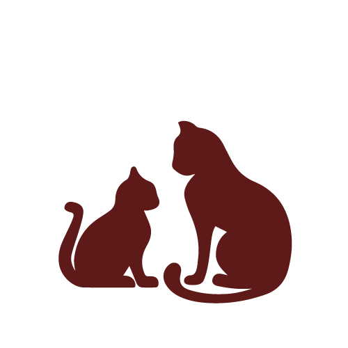 branding-through-emotions-cats